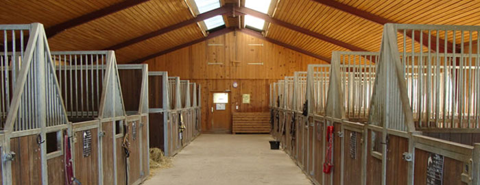 Der Reitstall Wiedenhof im Wienerwald bietet eine umfassende Ausstattung für Pferd und ReiterIn
