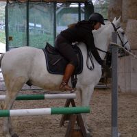 Working-Equitation-mit-Sandra-01