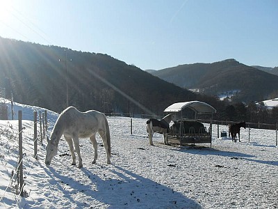 Vorderer befestigter Paddock mit Heuraufen im Winter
